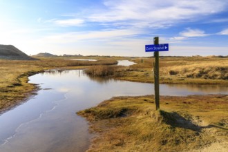 The footpaths in the dune landscape at the Postbake have been transformed into lakes by the
