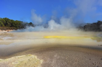 Waiotapu Thermal Wonderland, Waiotapu, Rotorua, Bay of Plenty, North Island, New Zealand, Oceania