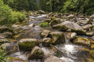 Landscape by the river Murg, Murg Valley, Black Forest, Baden-Württemberg, Germany, Europe