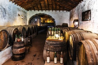 2016, Raimund Franken, Model Release:Not, Property Release: Not Tiagua, Lanzarote, Farm Museum El