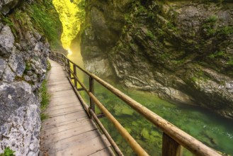 Scenic wooden walkway winds through vintgar gorge, showcasing stunning emerald waters and lush