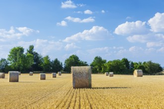 Straw bales on a harvested grain field, stubble field, Nossen, Saxony, Germany, Europe