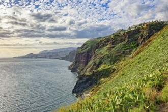 Ponta do Garajau viewpoint at the statue of Christ, Cristo Rei statue, cliffs, tourist attraction,