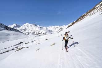 Ski tourer in mountain landscape with snow, ascent to Grialetsch Scharte, Bündner Haute Route,