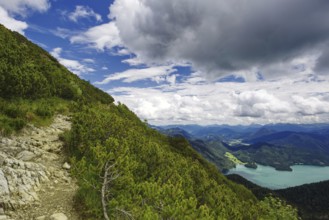 A stony hiking trail along a wooded mountain slope with sweeping views down into the valley to Lake