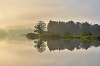 Morning atmosphere at the Flachsee, trees reflected in the water, Rottenschwil, Canton Aargau,