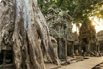 Ta Prohm, Angkor Wat, Angkor, UNESCO World Heritage Site, Siem Reap, Cambodia, Indochina, Southeast