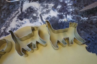 Swabian cuisine, Swabian Christmas biscuits, preparation of cookie cutters, shortbread biscuits,