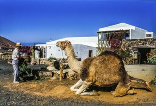 2016, Raimund Franken, Model Release:Not, Property Release: Not Tiagua, Lanzarote, Farm Museum El