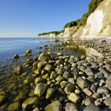 Large stones on the shore of the Baltic Sea in front of the chalk cliffs of the steep coast,