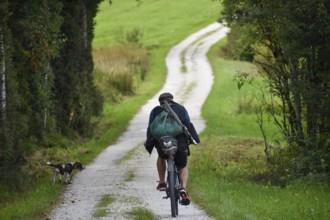 Hunter on a bicycle with rucksack and rifle, accompanied by his hunting dog, on a gravel road near