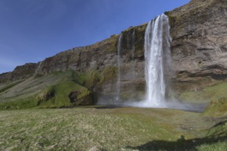 Seljalandsfoss, most popular waterfall, located in southern iceland