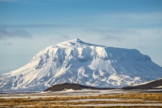 Mt. Herdubreid in winter, snowcovered, seen from farm Mödrudalur located between lake Myvatn and