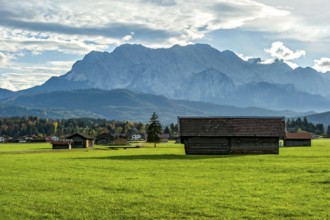 Green meadow with hay huts, behind Kranzberg, mountains Obere Wettersteinspitze, Rotplattenspitze,