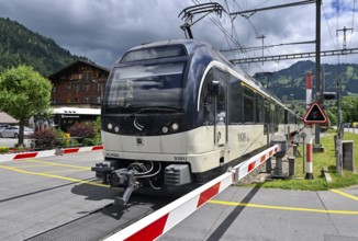 Level crossing MOB passenger train Alpina 9201
