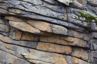 Feuersteinklippe, Feuersteine rock formation, granite butte in the Harz National Park near