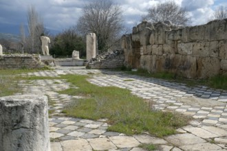 Ancient Baths of Hadrian, ancient archaeological site of Aphrodisias, Geyre, Karacasu, Aydin,