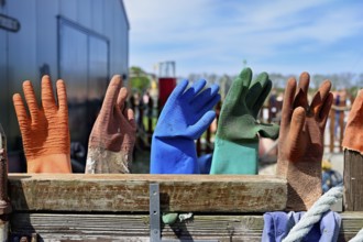 Gloves fished out of the sea by beachcombers, Maritime and Beachcomber Museum Flora, the world's