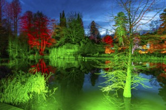 Parkleuchten, event in winter, in the Grugapark in Essen, many different light installations,