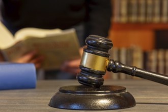 Close-up of a judge's gavel, in the background a man reads a law book (symbolic image)