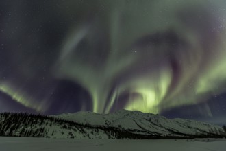 Green, yellow and purple northern lights (aurora borealis) over snowy mountains, Brooks Range,