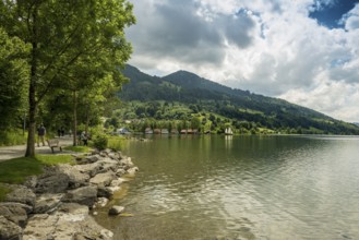 Bühl, Großer Alpsee, Immenstadt, Oberallgäu, Allgäu, Swabia, Bavaria, Germany, Europe