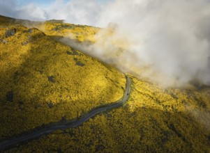 Aerial view of road among yellow Cytisus blooming shrubs near Pico do Arieiro, Portugal in clouds