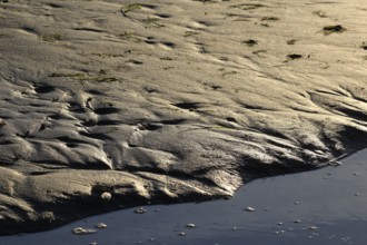 Morning atmosphere on the beach of the Baltic Sea, September, Usedom, Mecklenburg-Western