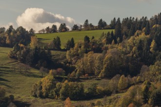 Mountain landscape in autumn. Lower Rhine, Alsace, France, Europe