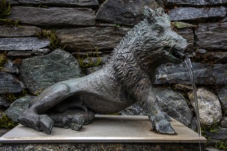 Fountain, wild boar fountain in the mountain village of Bordei, Centovalli, Canton Ticino,