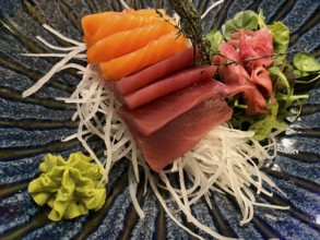 Mixed sashimi sushi platter, raw fish, salmon, tuna, ginger, wasabi, Stuttgart, Baden-Württemberg,