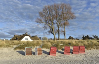 Thatched-roof house on the dunes of the Baltic Sea in Ahrenshoop, Mecklenburg-Vorpommern, Germany,
