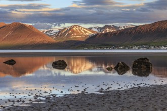 Fjord, low tide, stones, mountains reflected in the water, evening light, cloudy mood, Thingeyri,
