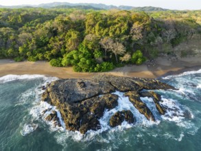 Aerial view, rainforest, sandy beach and coast with waves, Playa Cocalito, Puntarenas, Costa Rica,