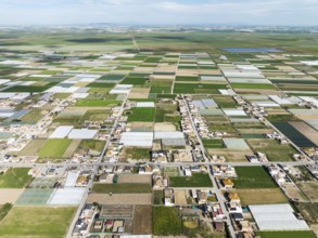The semi rural district of La Algaida with its cultivated fields next to Sanlúcar de Barrameda.