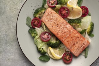 Grilled salmon fillet, with vegetables, broccoli, cherry, iceberg lettuce, spices and herbs,
