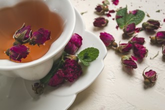 Cup of tea, damask rose, pink tea, close-up