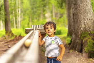 Young boy enjoying a wooden marble run in a forest by lake braies, surrounded by the scenic
