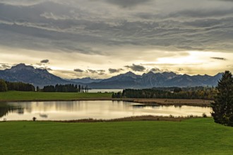 Lakescape at Forggensee near Schwangau, Allgäu, Bavaria, Germany, Europe