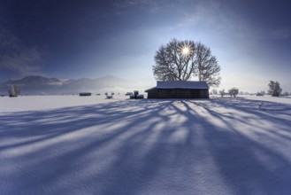 Hut with long shadows in the backlight in front of mountains, snow, winter, sunny, Schlehdorf,