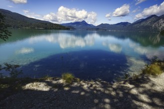 A calm lake reflecting the clouds and mountains, framed by wooded hills, Walchensee, Kochel am See,