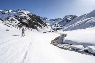 Ski tourer in the snow by a mountain stream in the Funtauna Valley, Graubünden Haute Route, Albula