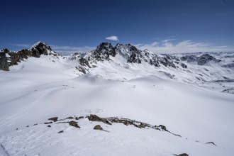 View of peaks Piz Grialetsch and Piz Vadret, mountain landscape with snow, ascent to Scalettahorn,