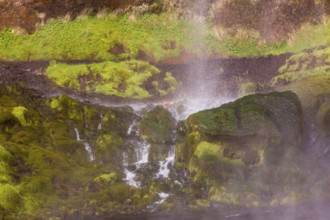 Waterfall Seljalandsfoss, 60 m high, located in southern iceland