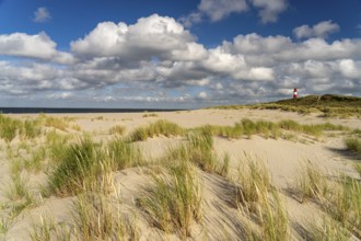 Dunes at the coast of Ellenbogen and the lighthouse List-Ost, List, island Sylt, district