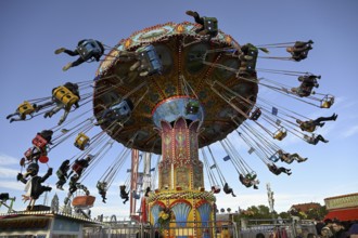 Chain carousel at the Oktoberfest, Munich, Bavaria, Germany, Europe