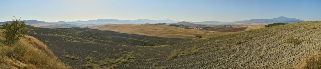 Typical Tuscan landscape in Val d'Orcia with hills, trees, fields, farmhouses and cypresses in