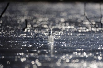 Discarded glass bottle in a frozen lake, winter, Germany, Europe