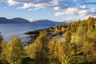 Boat cabins in an autumnal landscape on the Lyngenfjord, Lyngen, Troms og Finnmark, Norway, Europe