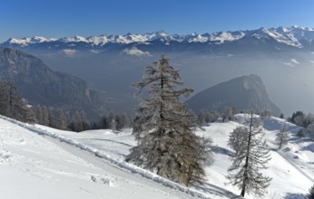 View from Alp Loutse over the Rhone valley to the snow-covered peaks of the Valais Alps, Ovronnaz,